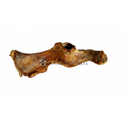 Bravčová panvová kosť